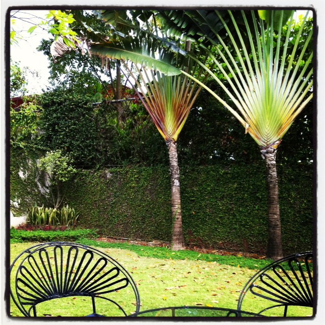 photo(2)